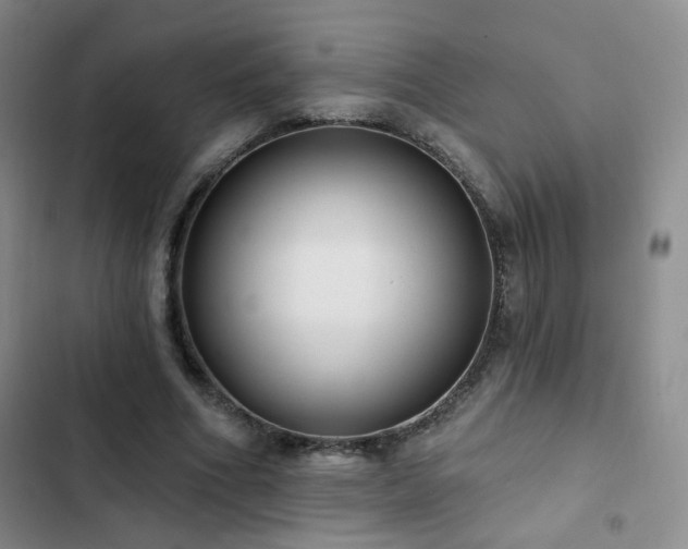 X0000103150586200808221333