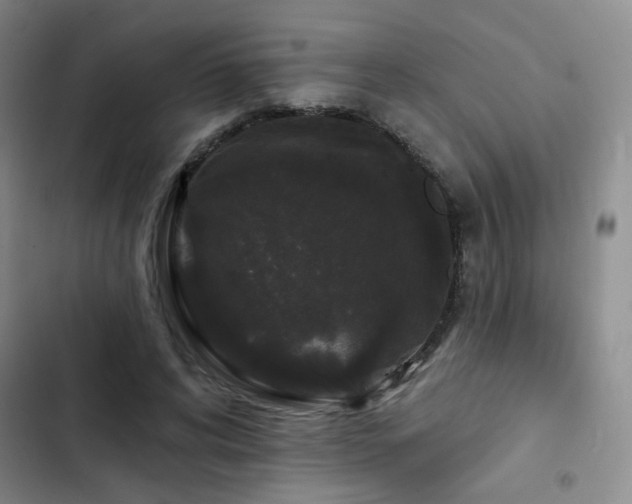 X0000103150592200808221333