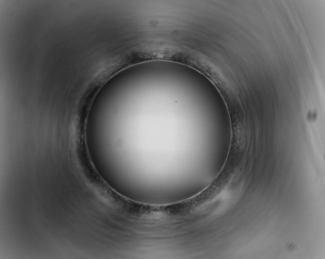 X0000103150594200808221333