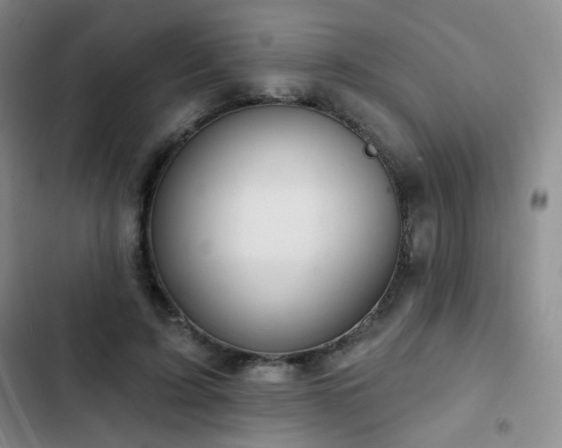 X0000103150595200808221333