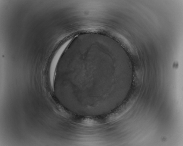 X0000103150596200808221333