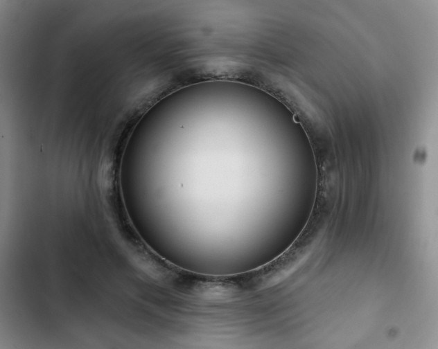 X0000103150597200808221333