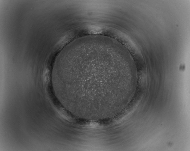 X0000103150598200808221333