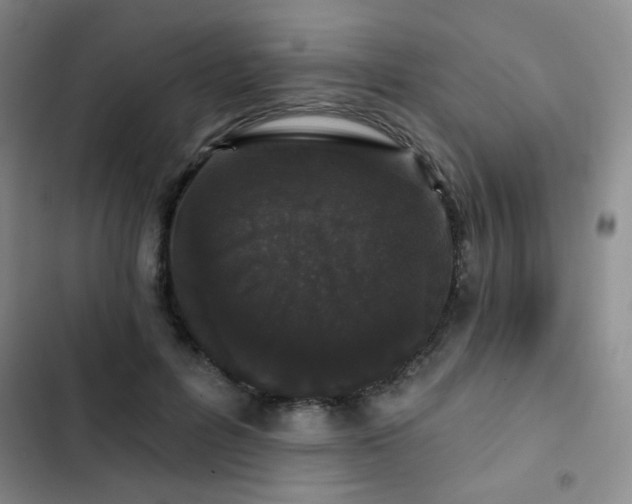 X0000103150600200808221333