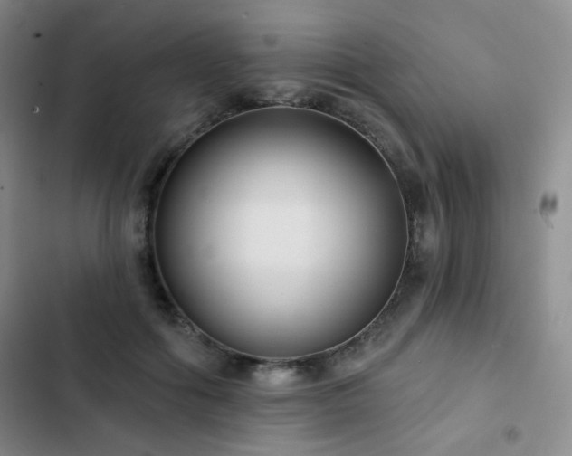 X0000103150602200808221333