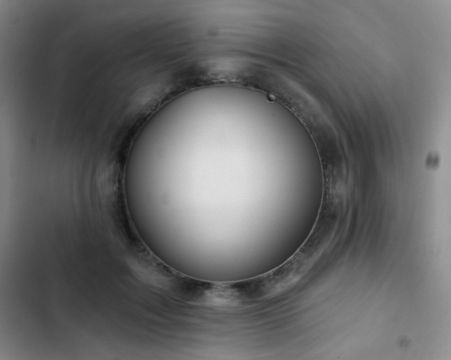 X0000103150603200808221333