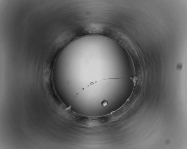 X0000103150604200808221333