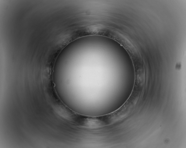 X0000103150605200808221333