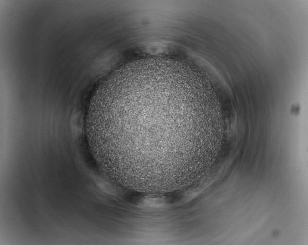 X0000103150606200808221333