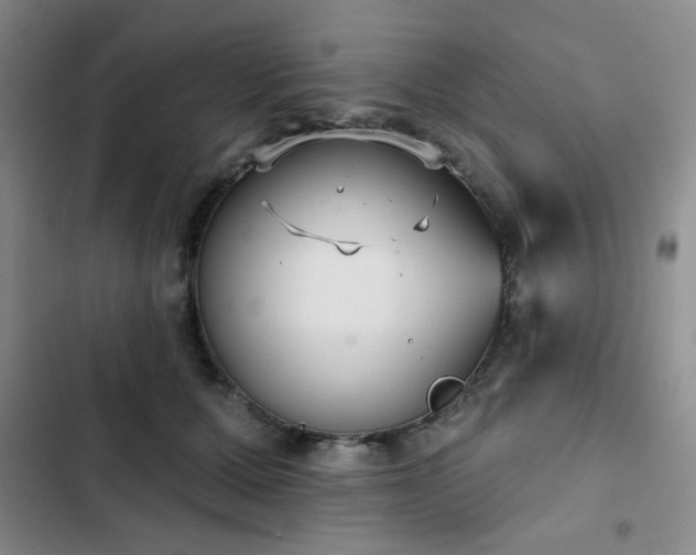 X0000103150607200808221333