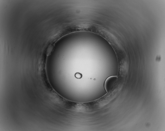 X0000103150608200808221333