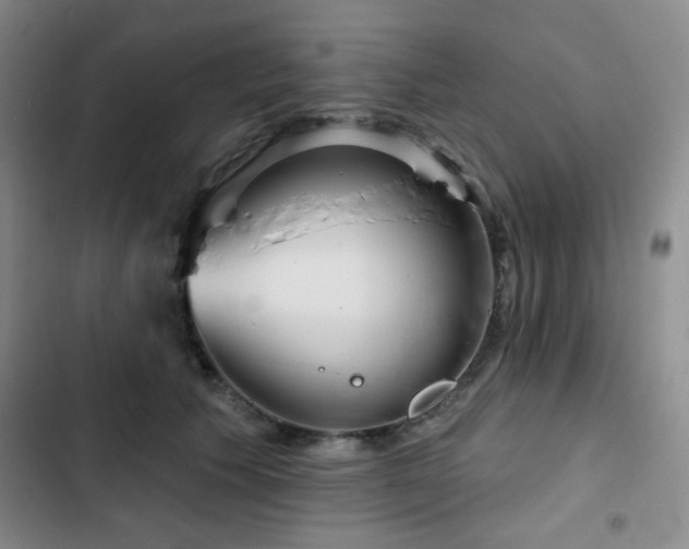 X0000103150609200808221333