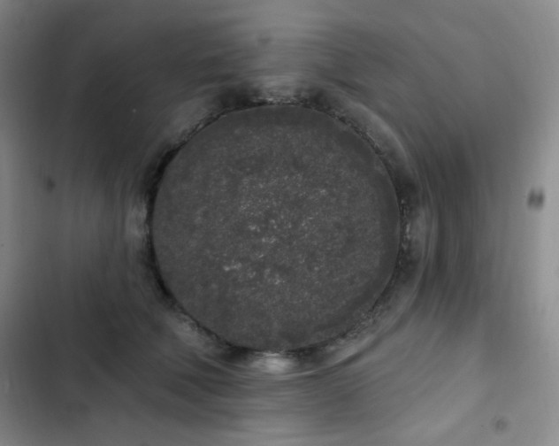 X0000103150610200808221333