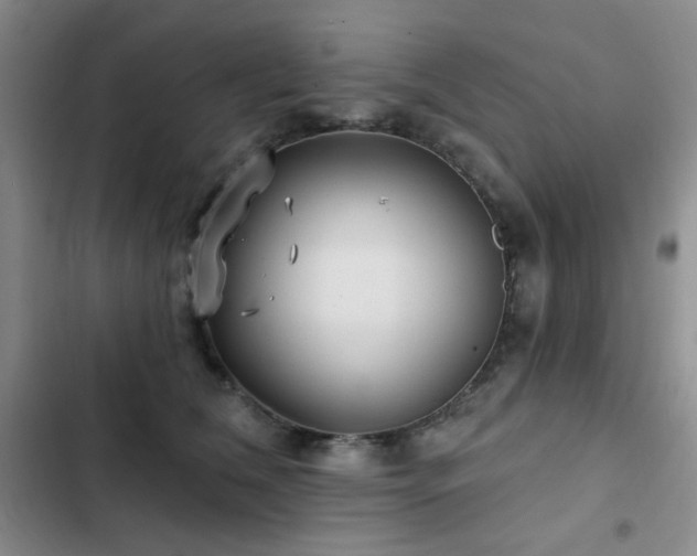 X0000103150612200808221332