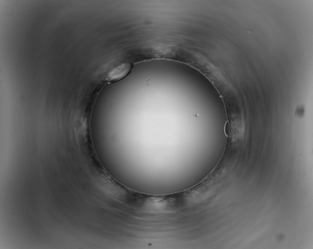 X0000103150613200808221332