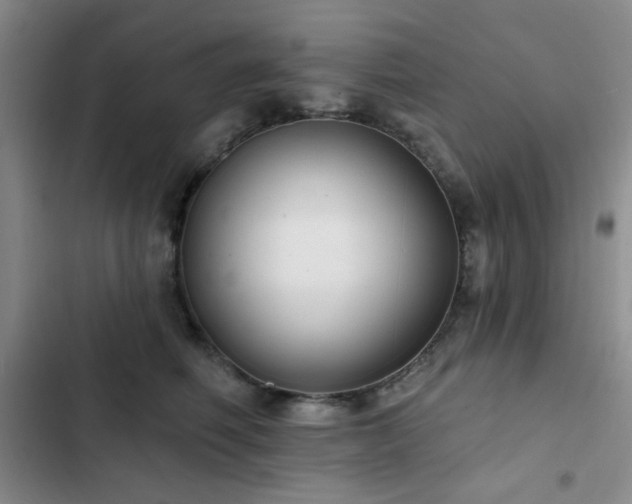 X0000103150614200808221332