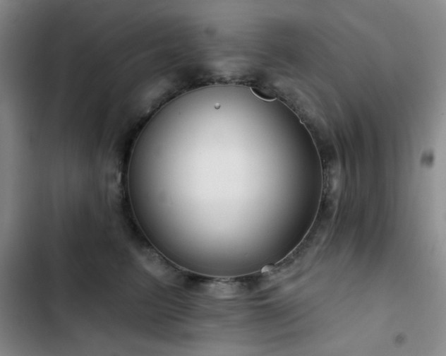 X0000103150615200808221332