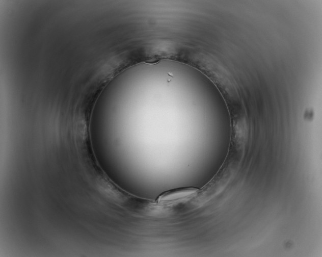 X0000103150617200808221332