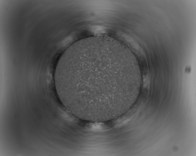 X0000103150618200808221332