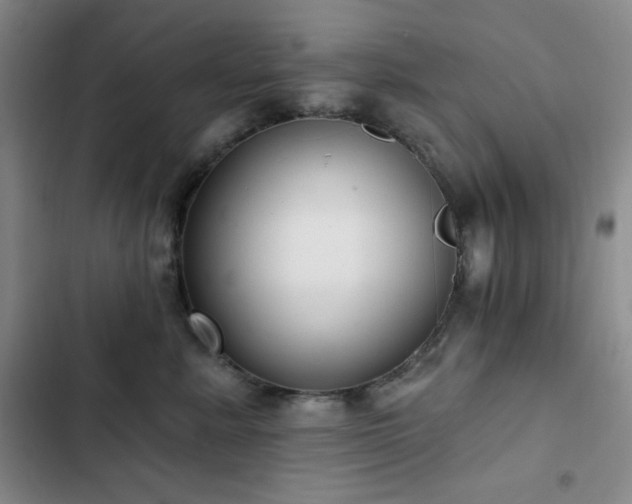 X0000103150619200808221332