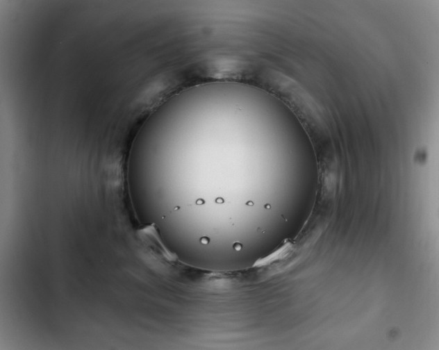 X0000103150620200808221332