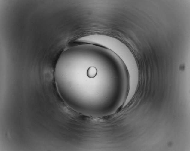 X0000103150621200808221332