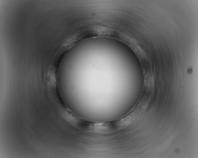 X0000103150622200808221332