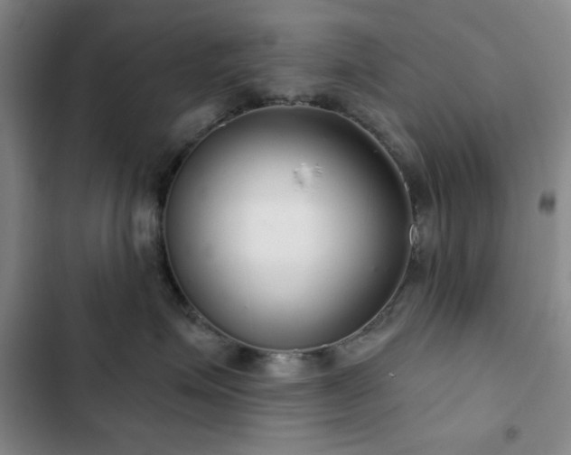 X0000103150623200808221332