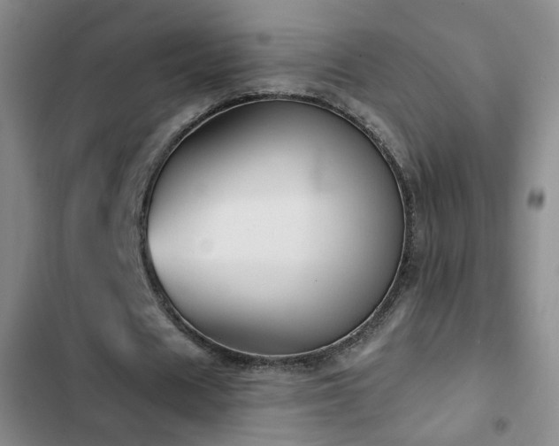 X0000103150625200808221332