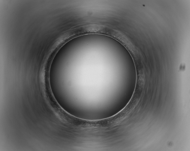 X0000103150626200808221332