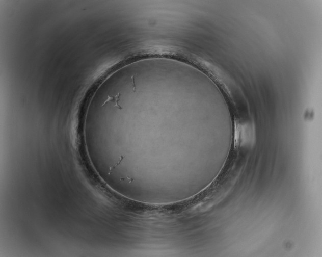 X0000103150627200808221332