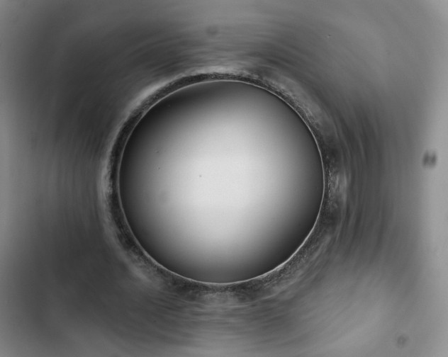 X0000103150628200808221332