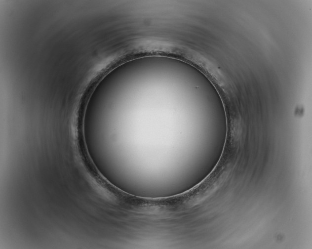 X0000103150629200808221332