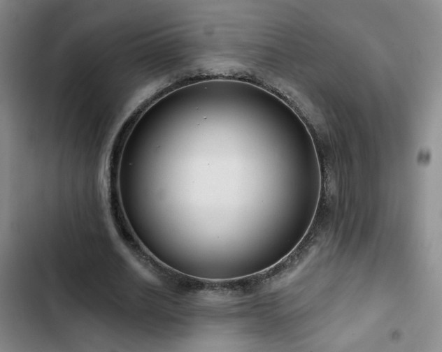 X0000103150630200808221332