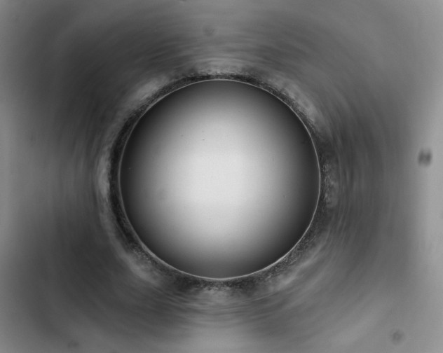 X0000103150631200808221332