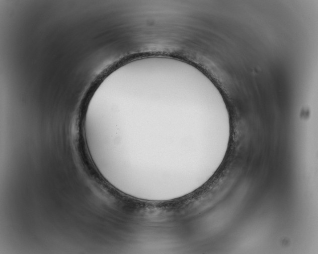 X0000103150632200808221332