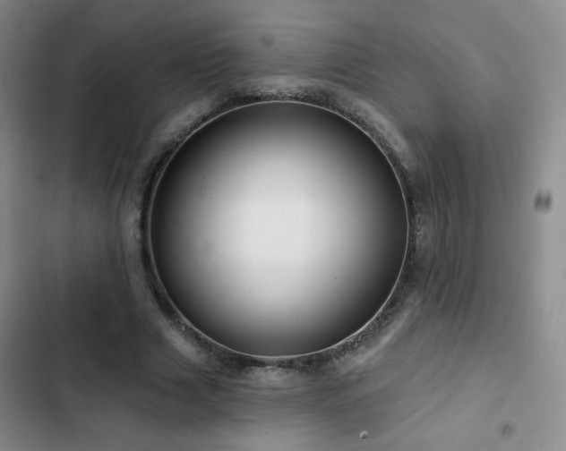 X0000103150633200808221332