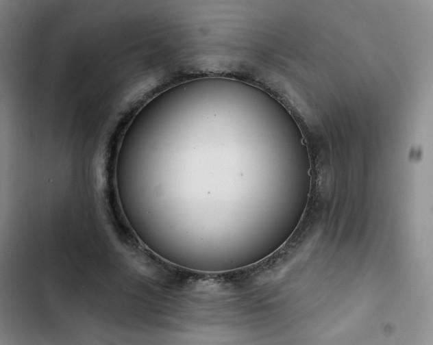 X0000103150635200808221332