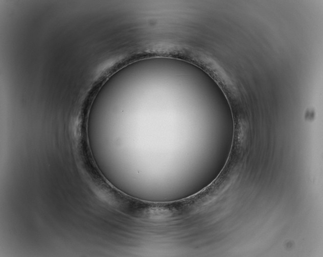 X0000103150636200808221332