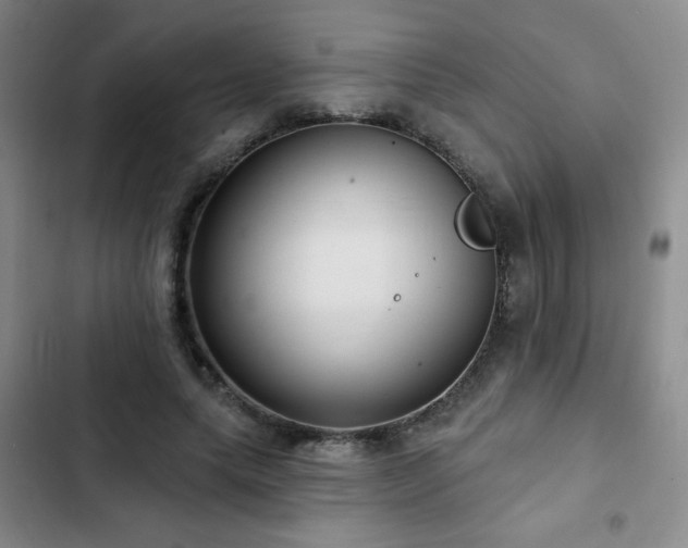 X0000103150639200808221332