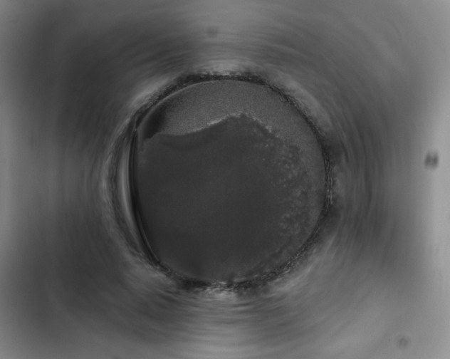 X0000103150640200808221332