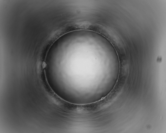 X0000103150641200808221332