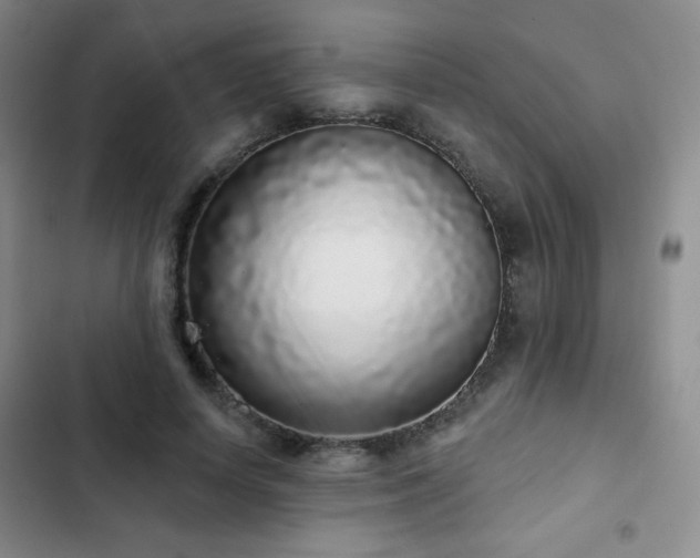 X0000103150642200808221332