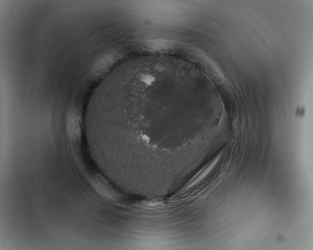 X0000103150644200808221332