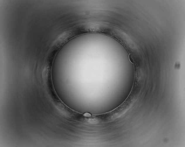 X0000103150645200808221332