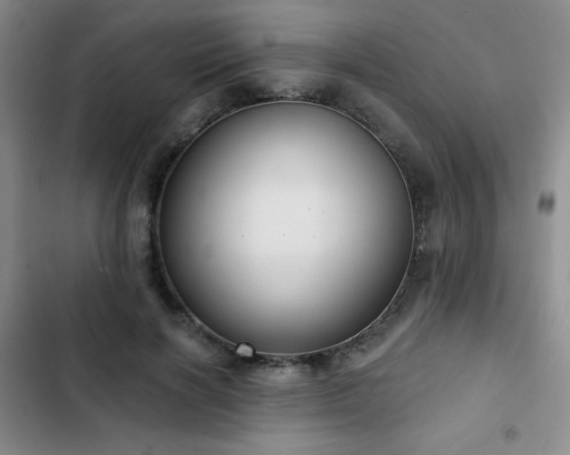 X0000103150646200808221332