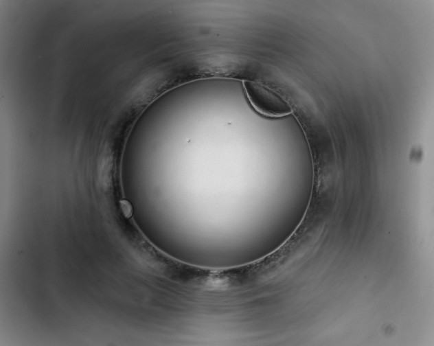 X0000103150647200808221332