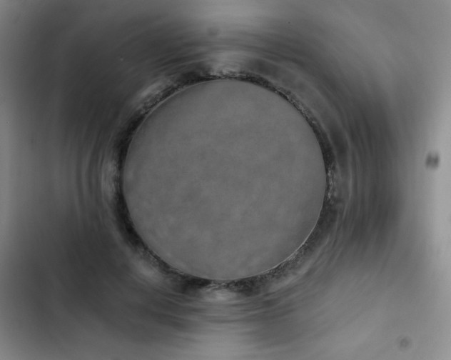 X0000103150648200808221332