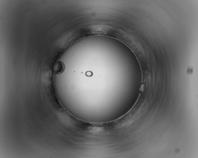 X0000103150649200808221332