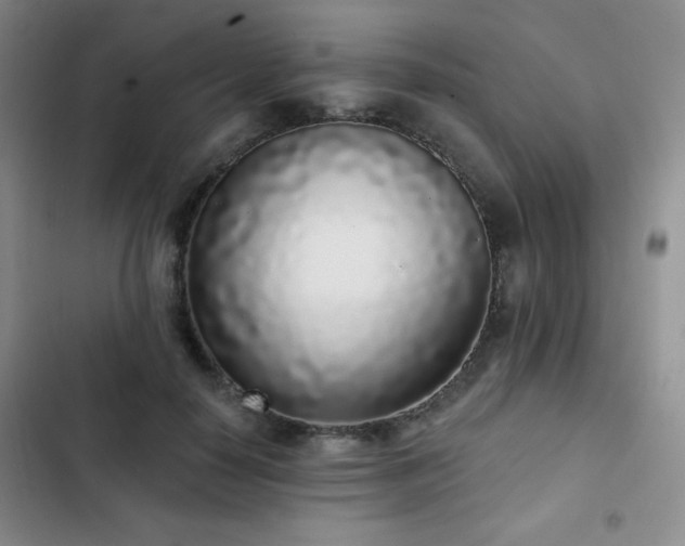 X0000103150650200808221332